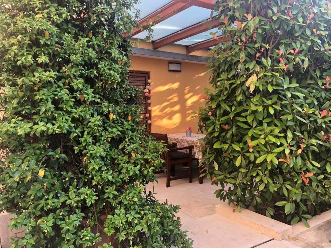 Villa Dolores Ρόβινι Εξωτερικό φωτογραφία