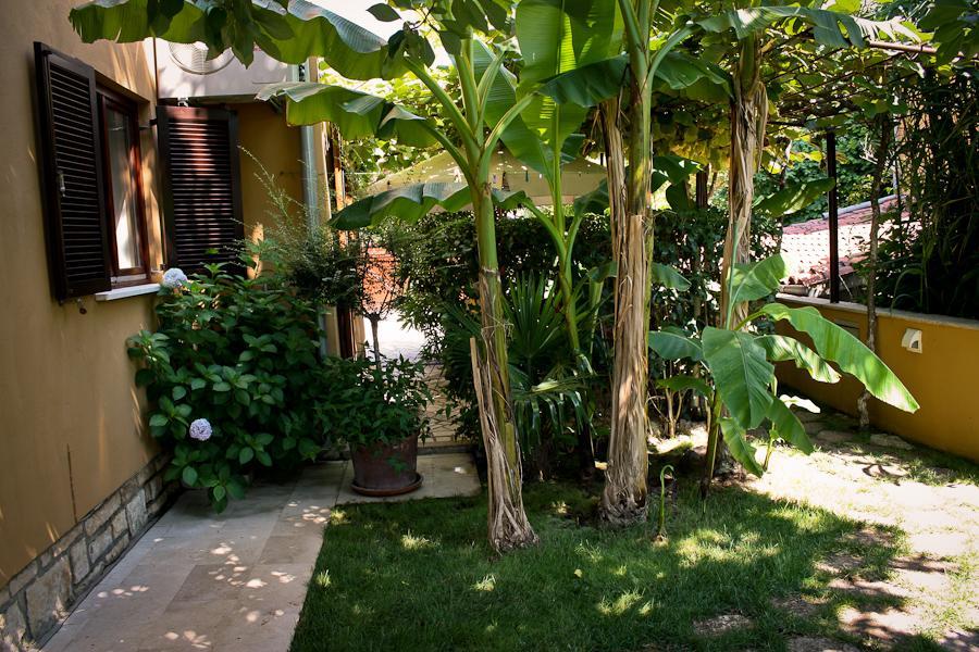 Villa Dolores Ρόβινι Εξωτερικό φωτογραφία